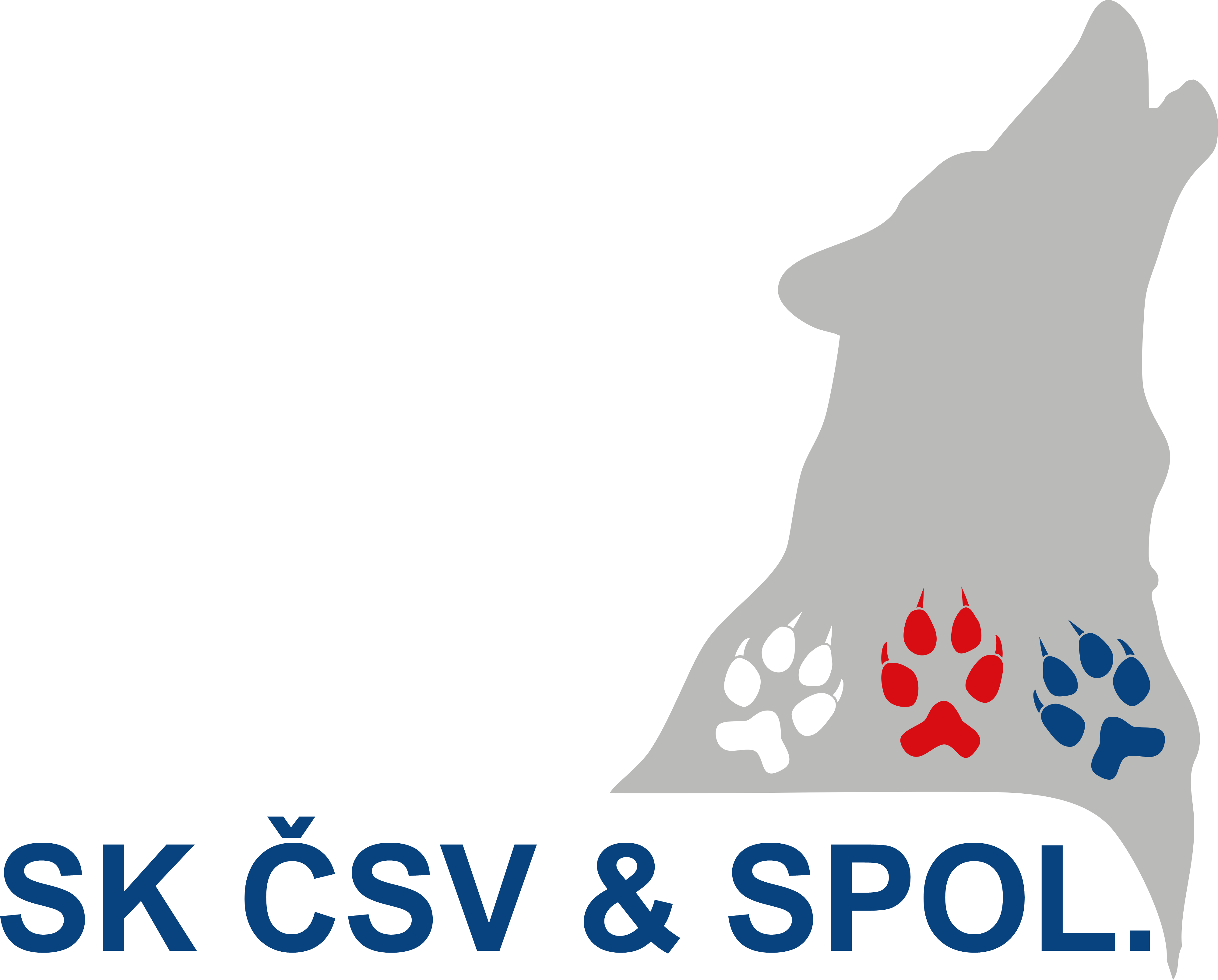 SKCSV